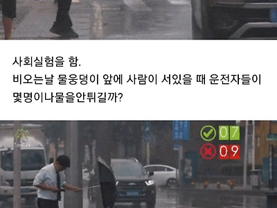 비오는 날 물웅덩이 사회실험.jpg
