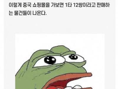 요새 커뮤에서 도는 중국어 음모론