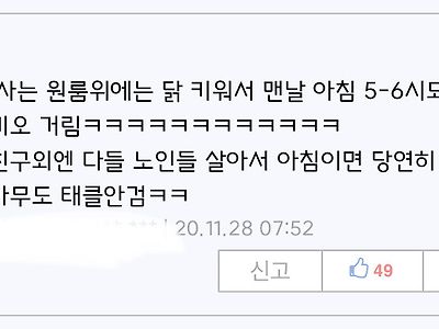 원룸에서 키우는 닭이 새벽마다 우는데도 다들 아무말 안하는 이유