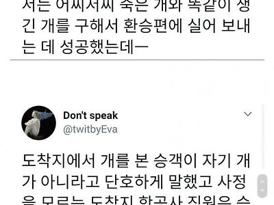 비행기 수하물 클레임 갑 +2