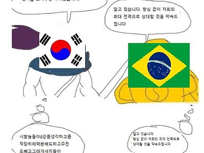 현재 한국 국민과 브라질 국대가 서로 바라보는 심정