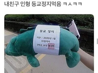 내 친구 매일 인형 베고 자다가