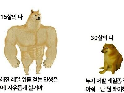 15살 vs 30살.jpg