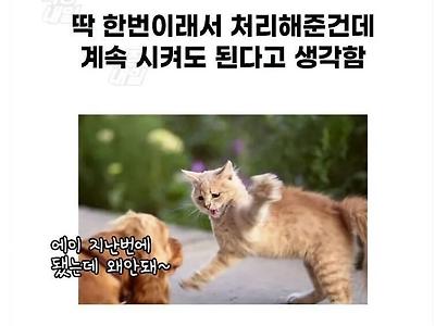 회사에서 윗사람들 흔한 착각