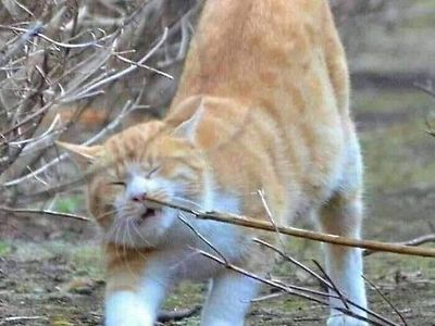 내 코!!!!