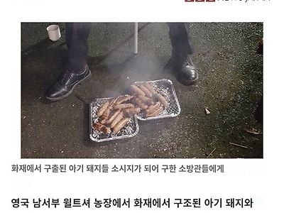 구해주신 은혜..몸으로 갚겠습니다...jpg