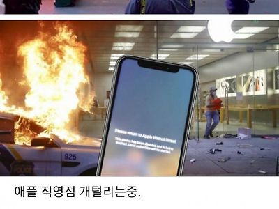 미국 애플 근황