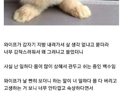 와이프 때문에 질질 운 디씨인.jpg