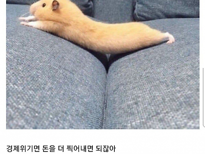 경제학자들 바보야 ?