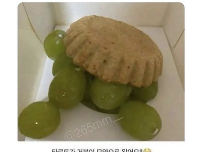 거지같이 배달된 부처들의 배달음식리뷰.jpg