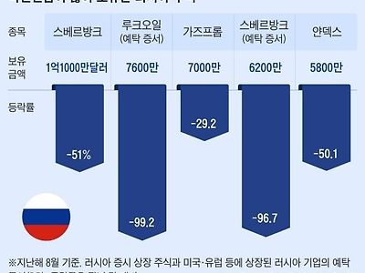 국민연금이 많이 보유한 러시아 주식