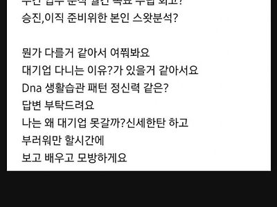 대기업 사원의 주말