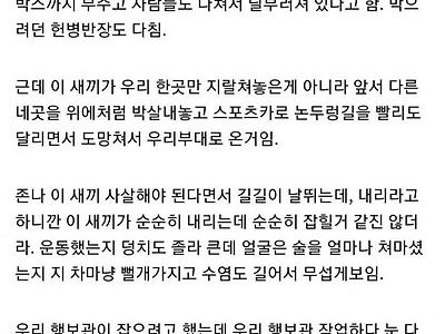 위병소 다섯개 박살낸 미친놈.