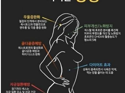 ㅅㅅ가 여자한테 미치는 영향.jpg