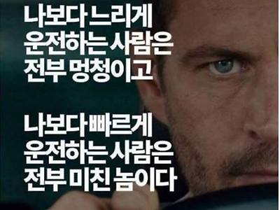 운전하는 사람들 심리.jpg