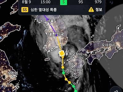 현재 태풍 중심기압 977hpa