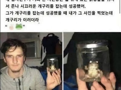 반성 1도 없는 개구리