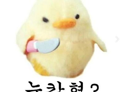 40넘게 살면서 본 최악의 유행어