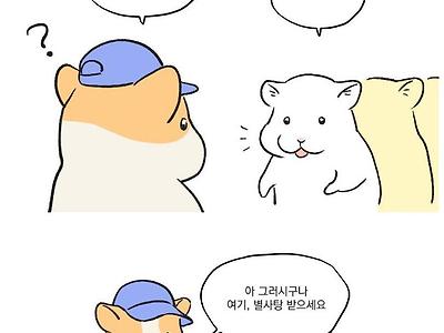 간식 나눔