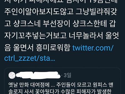 만화책방에서 동인녀가 생기는 과정