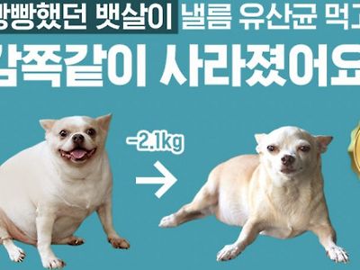 뱃살이 사라지고