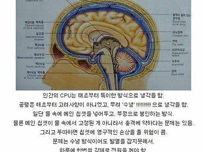 CPU 발열을 잘 잡아야 하는 이유