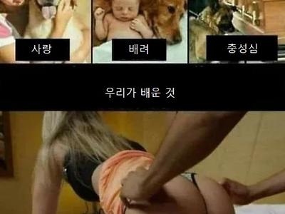 개한테서 배우는 것