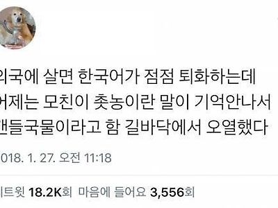 외국에 살면 한국어 퇴화함