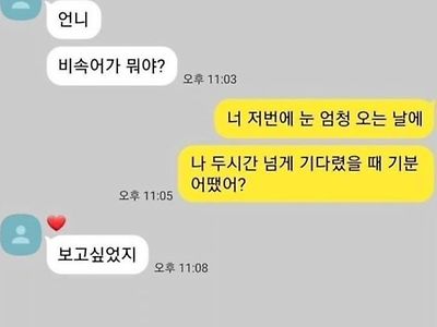 언니 비속어가 뭐야?