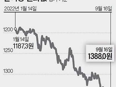 기가막힌 환율 그래프