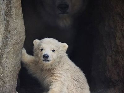 현재 아파트 시장 한짤 요약