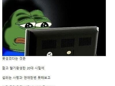 순진한 디시놈