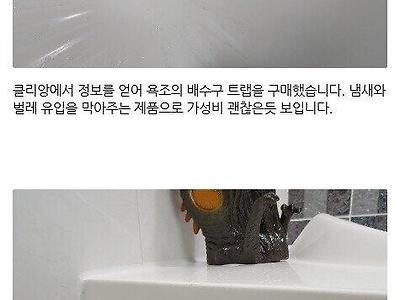 화장실 나방파리 없애기 꿀팁