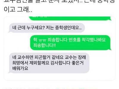 교수님인 줄 알고 문자 보냈지..