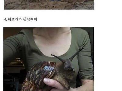 실제 크기를 체감해보자.jpg