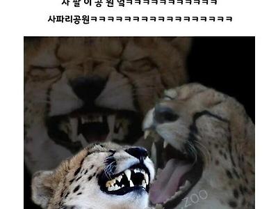 요즘 동물원 입장료 근황