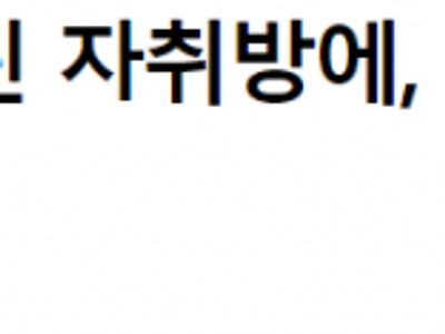 강원 고성 카니발 가족이 쓰레기 버리고 갔던 집 근황