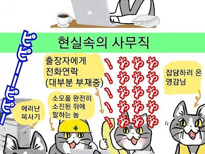 사무직 생각과 실체