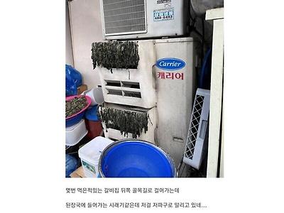 한국 어느 식당의 위생관념