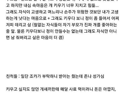 2030 견주가 개 파양하는 패턴