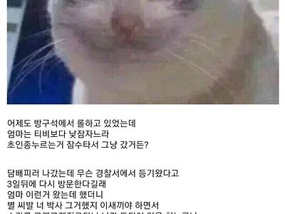 박사방 때문에 억울한 사람