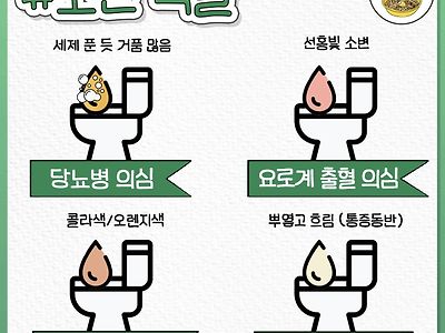 소변 색깔로 알수있는 증상