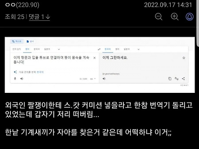 구글 번역기도 포기한것