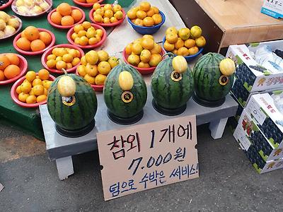 수박은 서비스