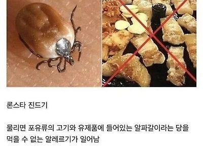 한번이라도 물리면 큰일나는 벌레