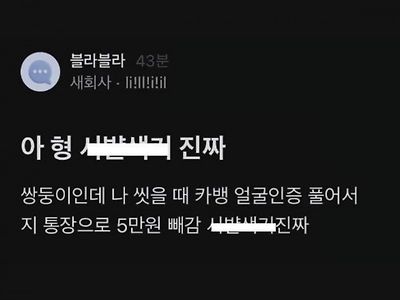 위험한 쌍둥이