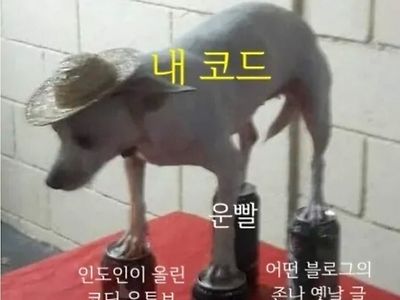 초보 코딩러의 4신기