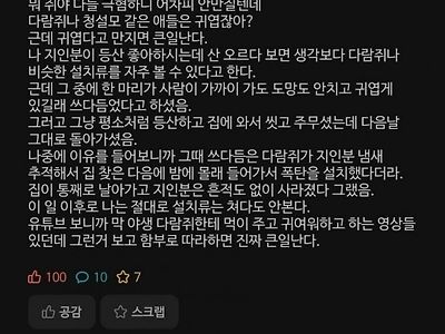 설치류 만지면 큰일나는 이유