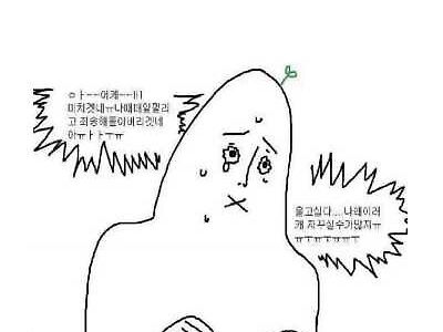 입사 전후 차이