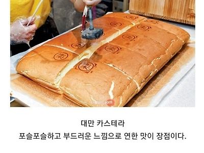 아시아 3국 카스테라 비교